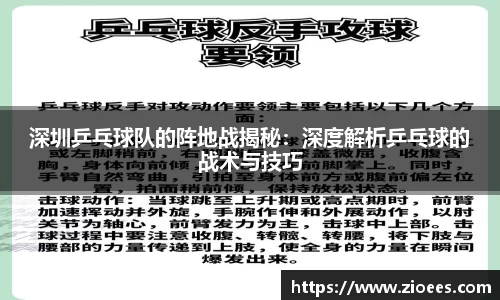 中欧体育
